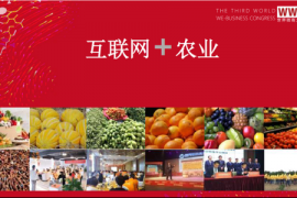 双峰县举办微商沙龙探讨农业大县“互联网+农业